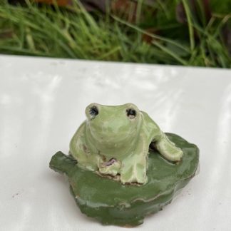 Lille frø