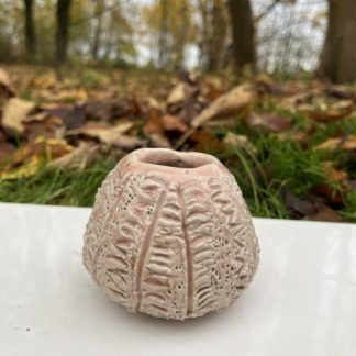 Lille søpindsvinsvase